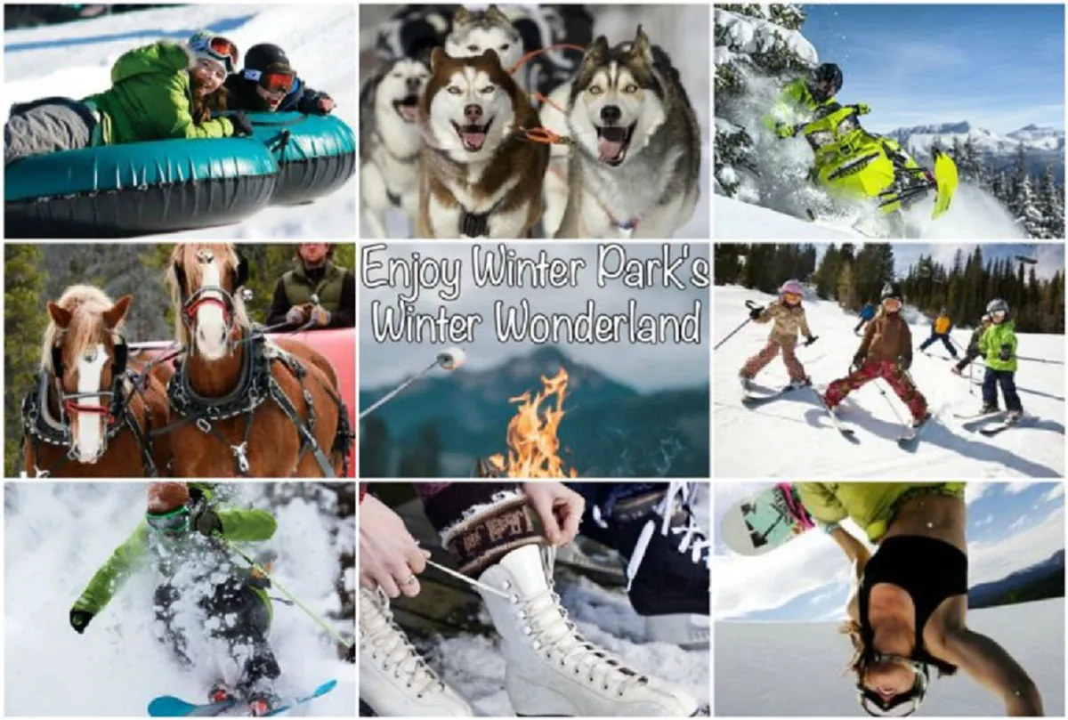 A vibrant winter scene featuring families and children enjoying a variety of snow-based activities, including tubing, dog sledding, snowmobiling, horse-drawn sleigh rides, skiing, snowboarding, and playing in the snow. The image captures the lively, adventurous atmosphere and the range of winter experiences available nearby.